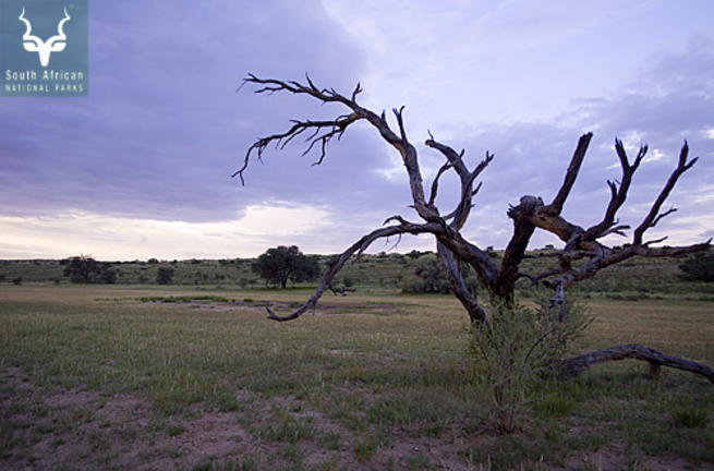 Urikaruus water-hole
