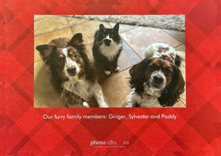 2025 Christmas Card Back