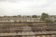 Westminister