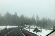 IMG 0484