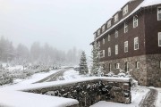 IMG 0503