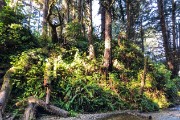 IMG 0297