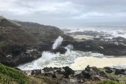 IMG 0409