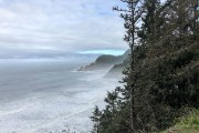 IMG 0427