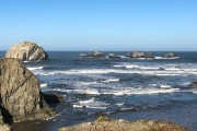 IMG 0310