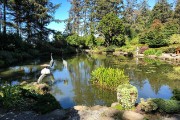IMG 0358