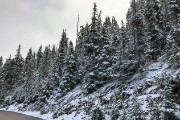 IMG 0470