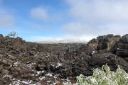 IMG 0471