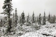 IMG 0472