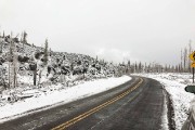 IMG 0475