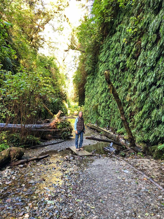 Fern Canyon