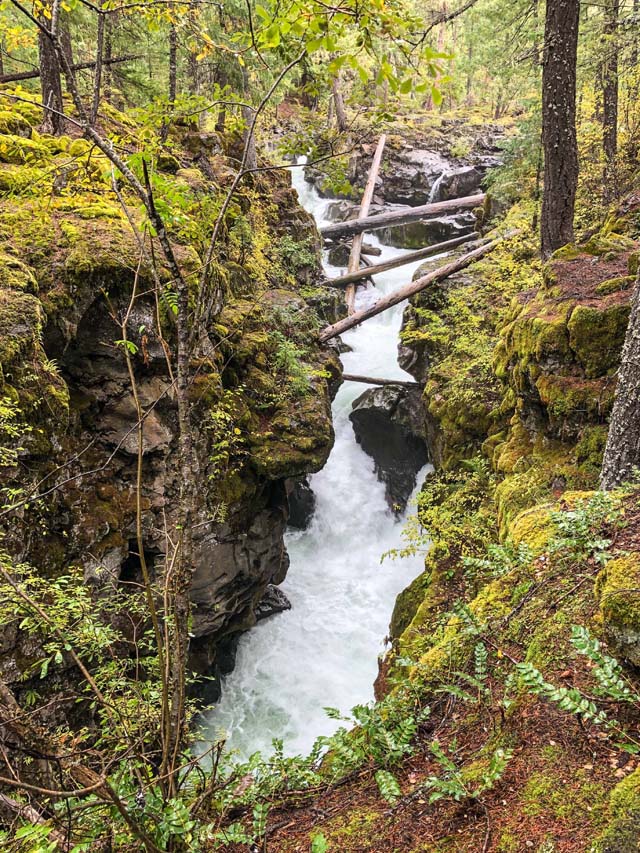 Rouge River Gorge