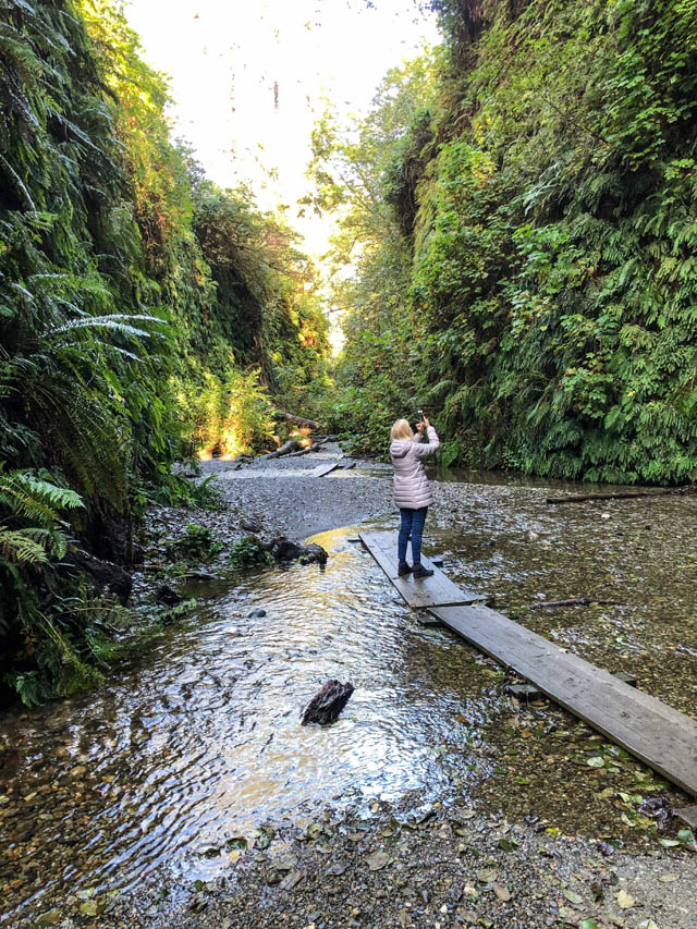 Fern Canyon