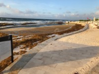 Salt Water pool also overrun with seaweed