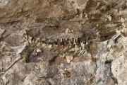 Dinosaur quarry