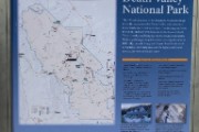 267-IMG 0849
