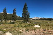 Along highway 395