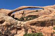 Landscape Arch