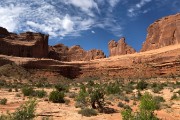 209-IMG 0633