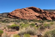 244-IMG 0756