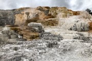 Canary Springs at Mammoth Hot Springs