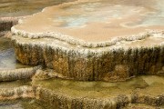 124-IMG 0352