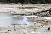 Back Basin at Norris Geyser Basin