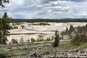 Looking into Porcelain Basin at Norris
