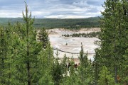 Looking into Norris Geyser Basin