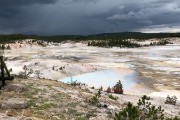 Porcelain Basin at Norris Geyser Basin