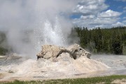 Upper Geyser Basin