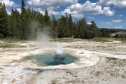 Upper Gyser Basin