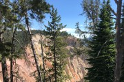 Grand Canyon of the Yellowstone