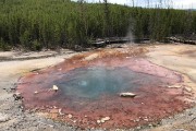 Back Basin at Norris Geyser Basin