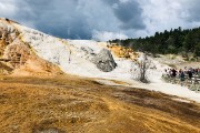 Mammoth Hot Springs