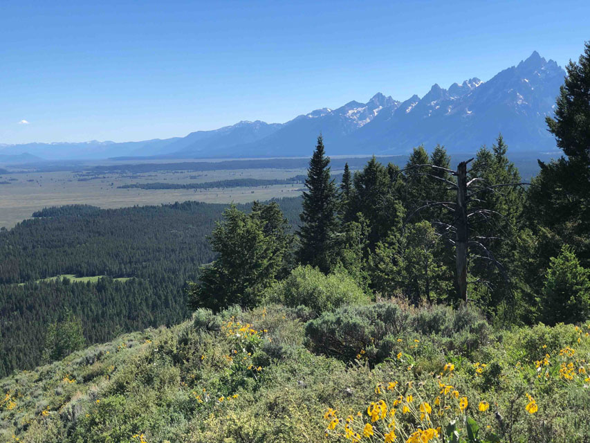 Signal/Grand Tetons