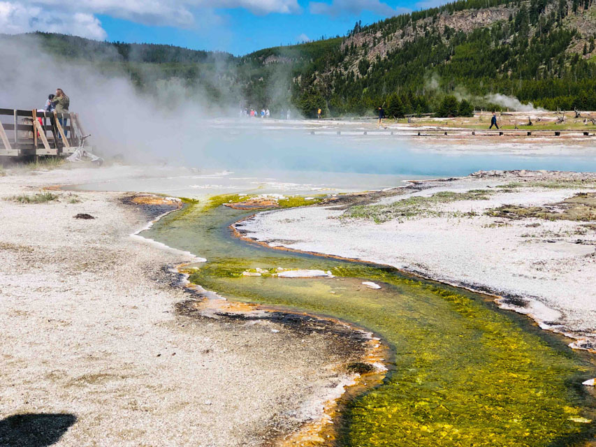 Lower Geyser Basin