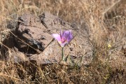 John Day Fossil Beds National Monument