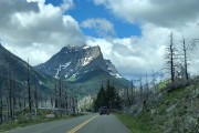 IMG 3692