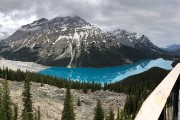IMG 3885