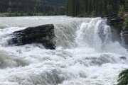 IMG 2517