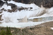 IMG 2527