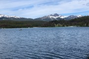 IMG 2553