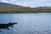 IMG 2554