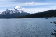 IMG 2556