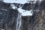 IMG 3954