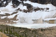 IMG 3961