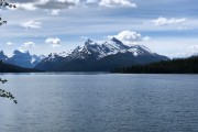IMG 3981