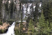 IMG 2591