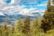 from a nature drive in the hills above Revelstoke
